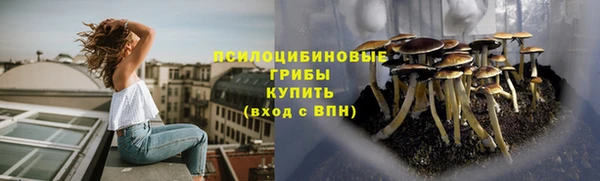 круглые Богданович
