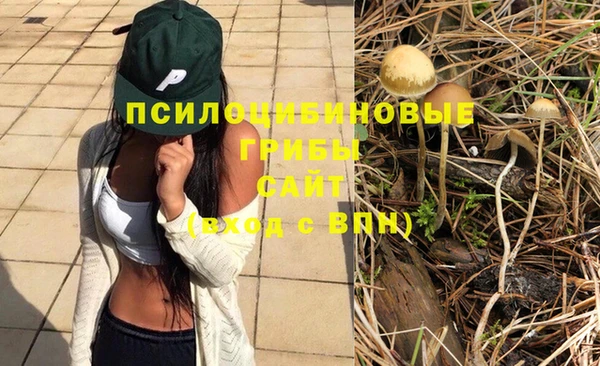 ALPHA PVP Богородицк
