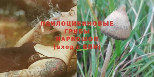 ALPHA PVP Богородск